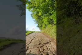 Hidden road through Italy’s wine vineyards  #travel #italy #shorts