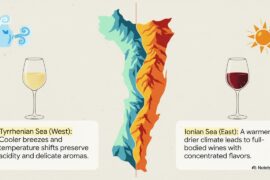 Calabria: The Undiscovered Wines of Italy's Sun-Kissed Toe
