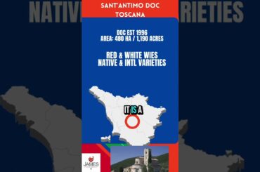 Sant'Antimo DOC: Montalcino's Hidden Wine Secret 🍷⛪ in Less Than 60 Seconds