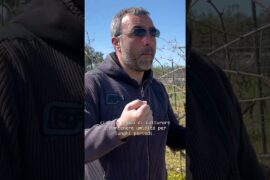Fatalone il Primitivo di Gioia del Colle
