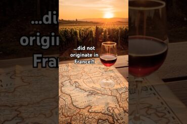 Everyone's Wrong About Wine History?! 🍷 #winehistory #archaeology #shorts