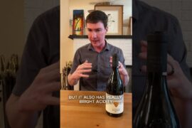 Sommelier's Recommendations for Volcanic Wine Regions!