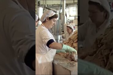 Kenapa Tuna Italia Ini Disebut Kualitas Premium? 🇮🇹🐟 #Shorts BEGINI PROSES PEMBUATAN TUNA KALENG