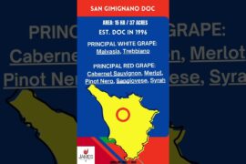 San Gimignano DOC in 60 Seconds 🇮🇹 #itlay