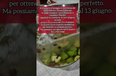 12/6/26: Ricette di Tiziana P.: la mia versione del Nocillo o Nocino 🥃