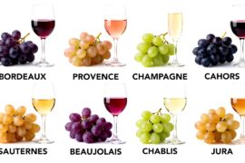Every French Wine Explained