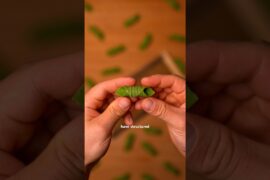 Green Garganelli #pasta #italianfood