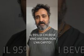IL 95% DI CHI BEVE VINO NON L'HA ANCORA CAPITO