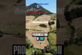 Romagna DOC Explained in 60 Seconds! 🇮🇹 #italy