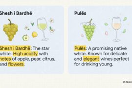 Albania: Uncorking Europe's Hidden Wine Gem