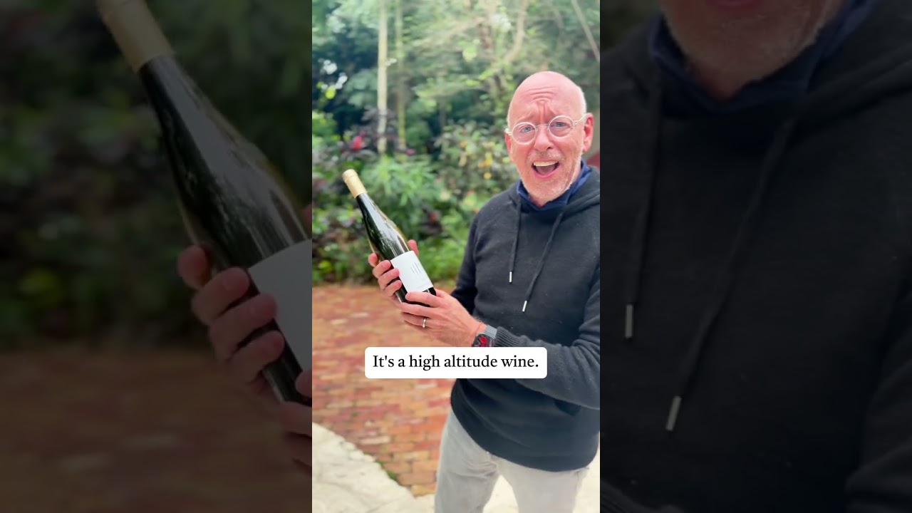The best bottle to bring to a dinner party probably isn’t the most expensive one you own The best bottle to bring to a dinner party probably isn’t the most expensive one you own