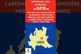 Curtefranca DOC: Franciacorta Without Bubbles #italy