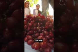 traditional grapes making #facts #shorts #italy