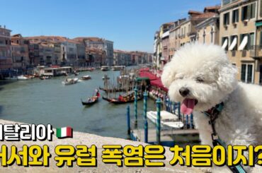 🇮🇹 Ep11. | 강아지와 북부 이탈리아 한달살기 시작! | 베네치아(부라노), 베로나, 시오르미네, 가르다호수, 피덴차빌리지, 중세도시, Al Covino