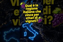Quale Regione Italiana Ha Più Ettari di Vigneti? 🍇🍷🇮🇹#italia#fattisuitalia