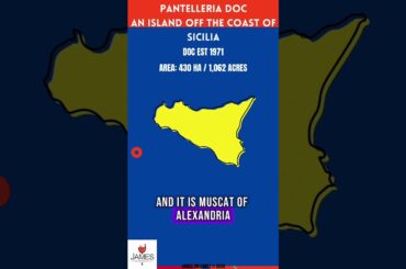 Pantelleria DOC: Closer to Tunisia Than Sicily #italy