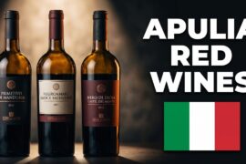 Every ITALIAN Red Wine from APULIA Explained