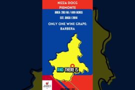 Nizza DOCG Explained in 60 Seconds! 🇮🇹 #italy