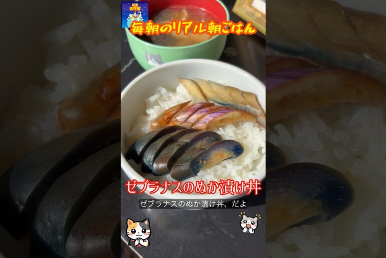 「ゼブラナスのぬか漬け丼」 #イタリアナス #ゼブラナス #ぬか漬け #料理 #まいにちごはん #朝ごはん #簡単レシピ #レシピ動画 #自炊 #おうちごはん #朝丼 #節約料理 #料理動画