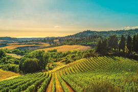 Darien Sisters Launch Boutique Italian Wine Travel Experiences