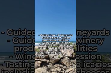 Winery Visit in Ragusa [Italy Travel 2026]