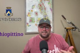 Italian Wine of the Week (5): Friuli- Schiopittino