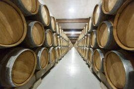 Italian wine stocks swell to 49.1 million hectoliters before the next harvest