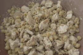 Chicken alfredo pasta with shells