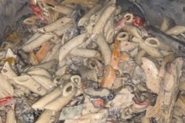 Rasta pasta with smoked jerk thighs