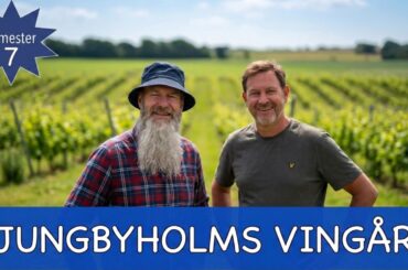 Motorhome at a vineyard. Why is Swedish red wine so scarce?