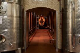 Why This Italian Pinot Noir From Alto Adige Could Lure Burgundy Lovers