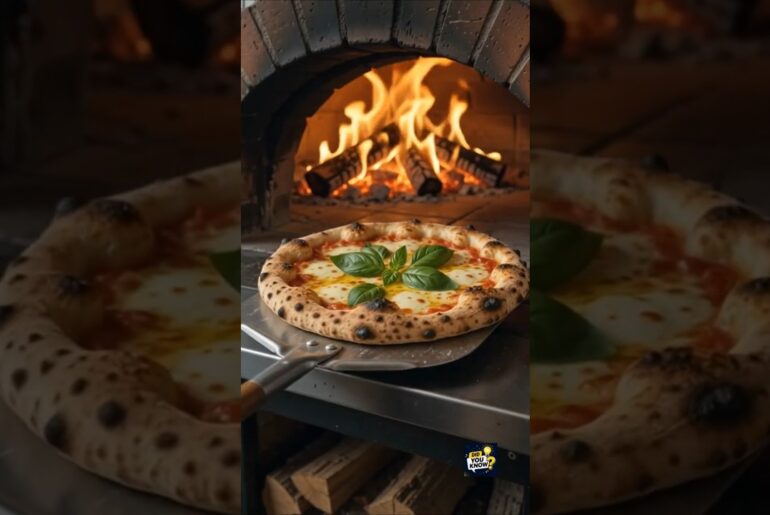 🍕 The Secret Journey of Italy's Perfect Wood-Fired Pizza #viral #viralshorts #mgvjfacts #pizzalover