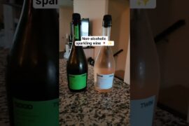 Good Twin Non-alcoholic Sparkling Wine 🍷 ✨️