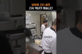 냉부해 스타 셰프 다시 막내가 됐습니다