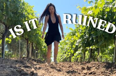 One Wrong Moment Can Ruin Months of Work | Inside an Italian Winemaker's Vineyard