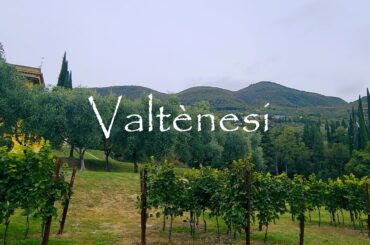Valtenisi in Northern Italy Rose Winemakers