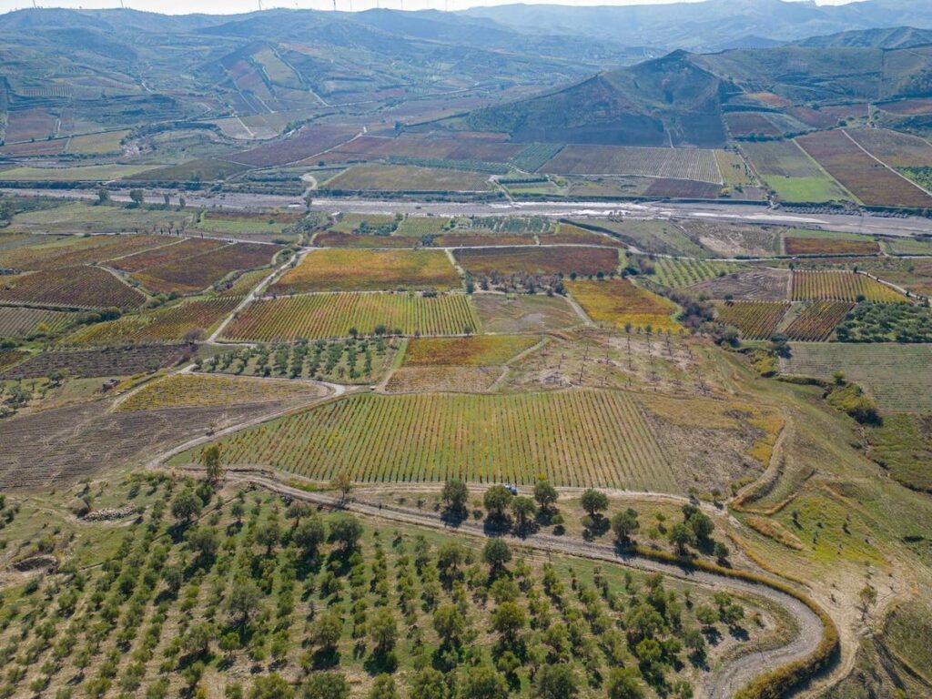 Cheers to Cirò: This 2000 Year Old Wine Has Gained Italy’s Top Wine Designation