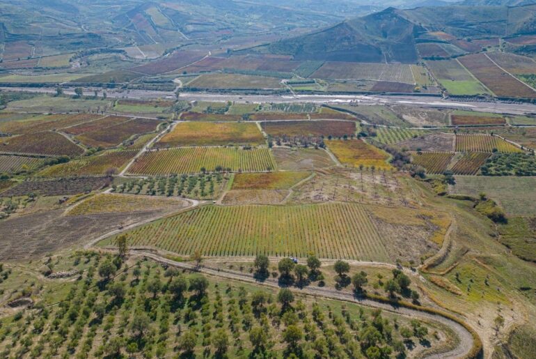 Cheers to Cirò: This 2000 Year Old Wine Has Gained Italy’s Top Wine Designation