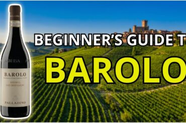 The Beginners Guide to BAROLO