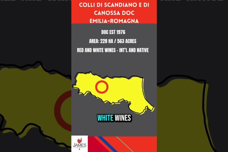Colli di Scandiano e di Canossa DOC in 60 Seconds #italy