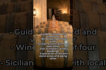 Winery Visit in Siracusa [Italy Travel 2026]