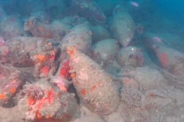 Divers Find Ancient Roman Shipwreck With Hundreds Of Jars