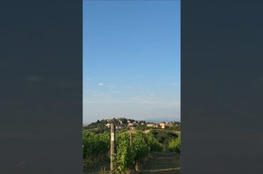 Don’t Sleep on Italy’s Wine Country 🇮🇹🍷