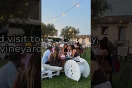 Winery Visit in Ancona [Italy Travel 2026]