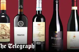 Best Italian red wines under £12