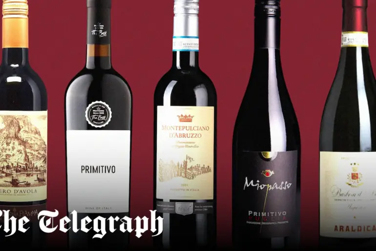 Best Italian red wines under £12
