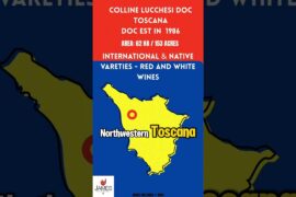Colline Lucchesi DOC in 60 Seconds #italy