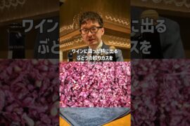 イタリアのグラッパがわざわざ葡萄の搾り滓から造る理由 #ソムリエ #wine #bar