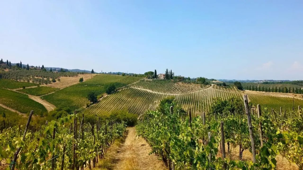 We went to Tuscany to “do nothing” – and it was the perfect vacation The Jerusalem Post - Israel News