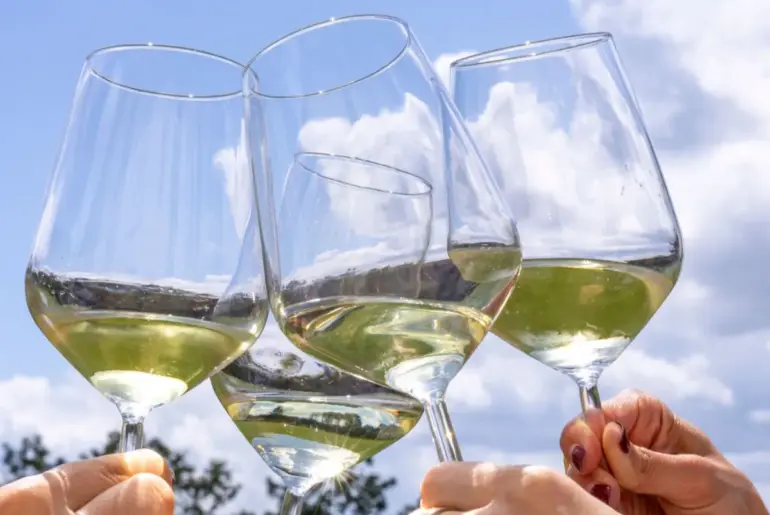 Wine tourism: Italian summers increasingly blend coast and vineyards